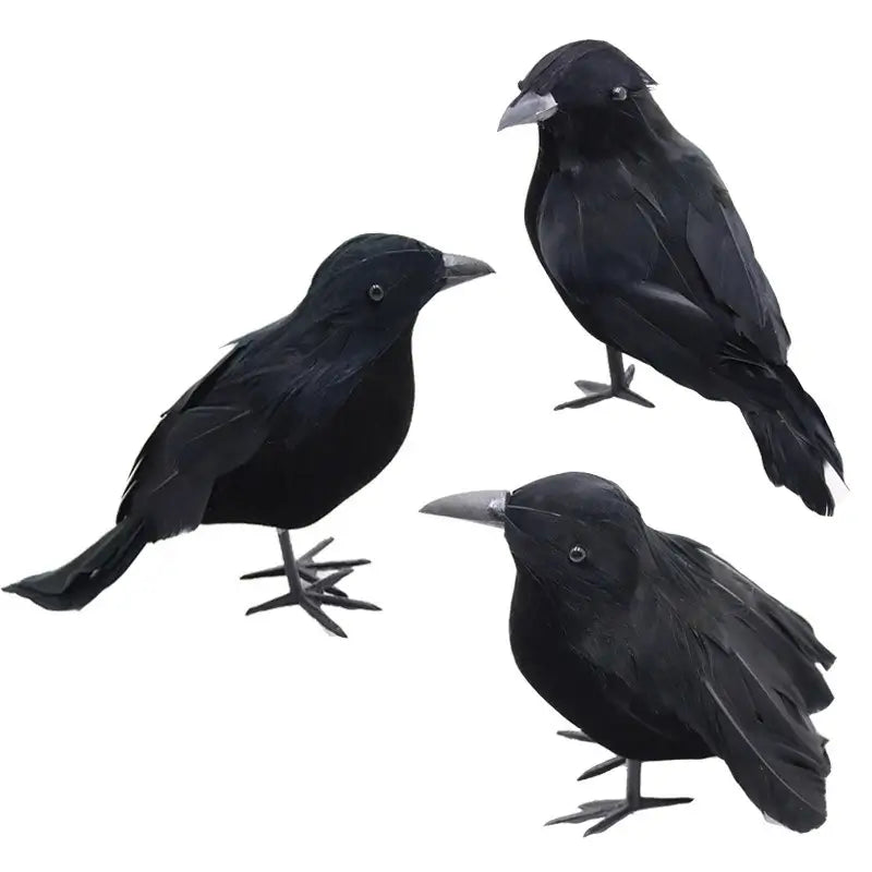 Set of 3 realistic black crow decorations on white background for Halloween party or gothic decor