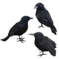 Set of 3 realistic black crow decorations on white background for Halloween party or gothic decor