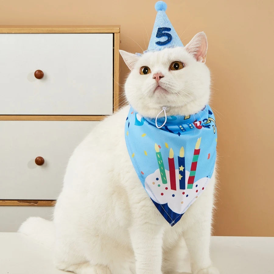 Cat wearing a blue birthday bandana and party hat