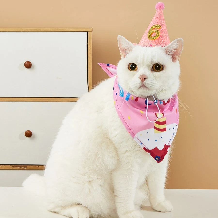 Cat wearing a pink birthday bandana and party hat