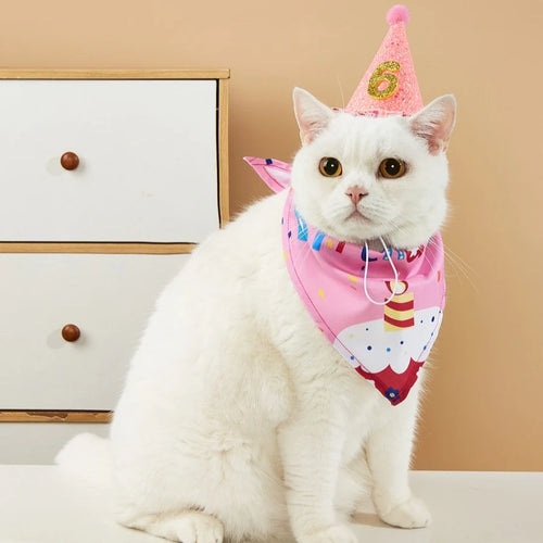 Cat wearing a pink birthday bandana and party hat