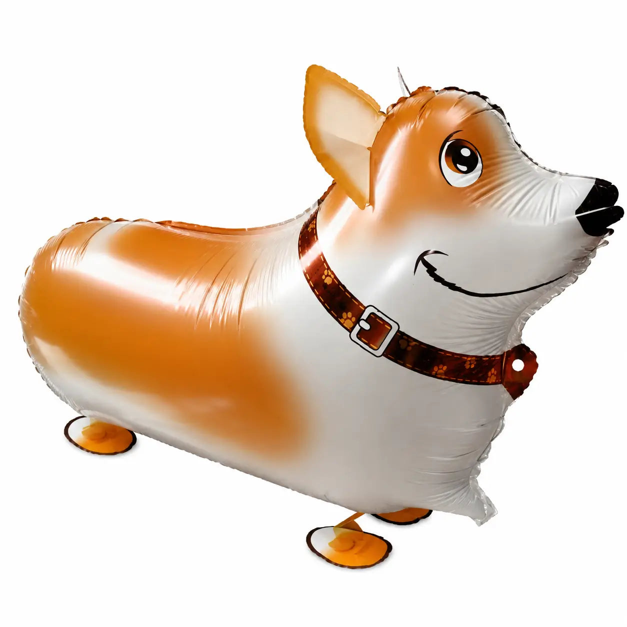 Corgi dog walking balloon toy on white background