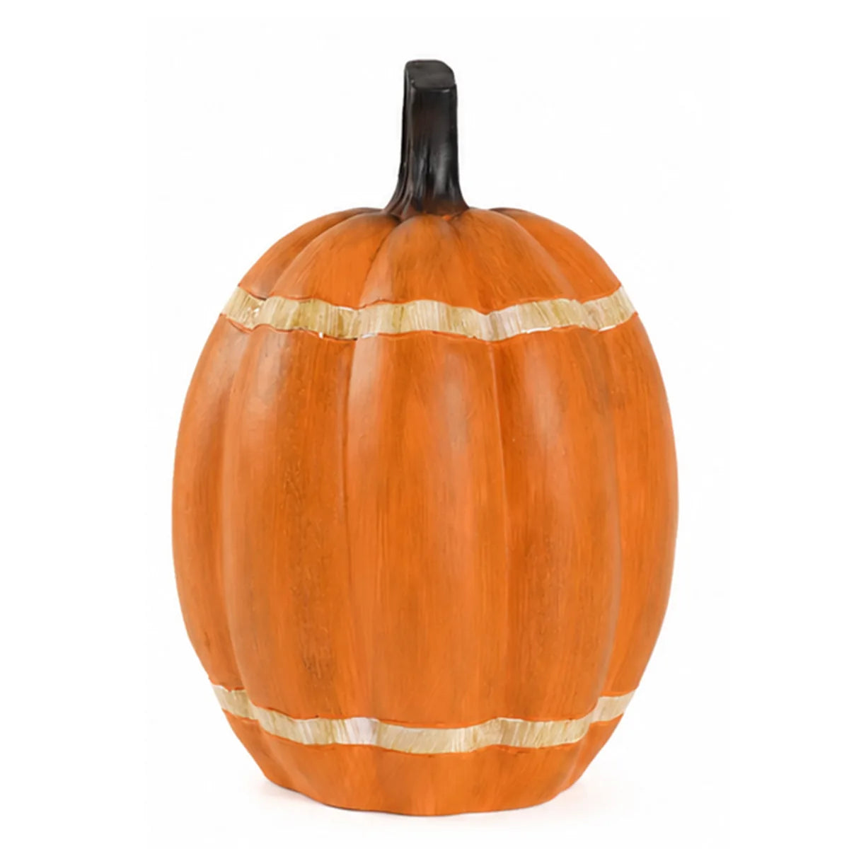 Back view shows the ribbed pumpkin surface and black stem.