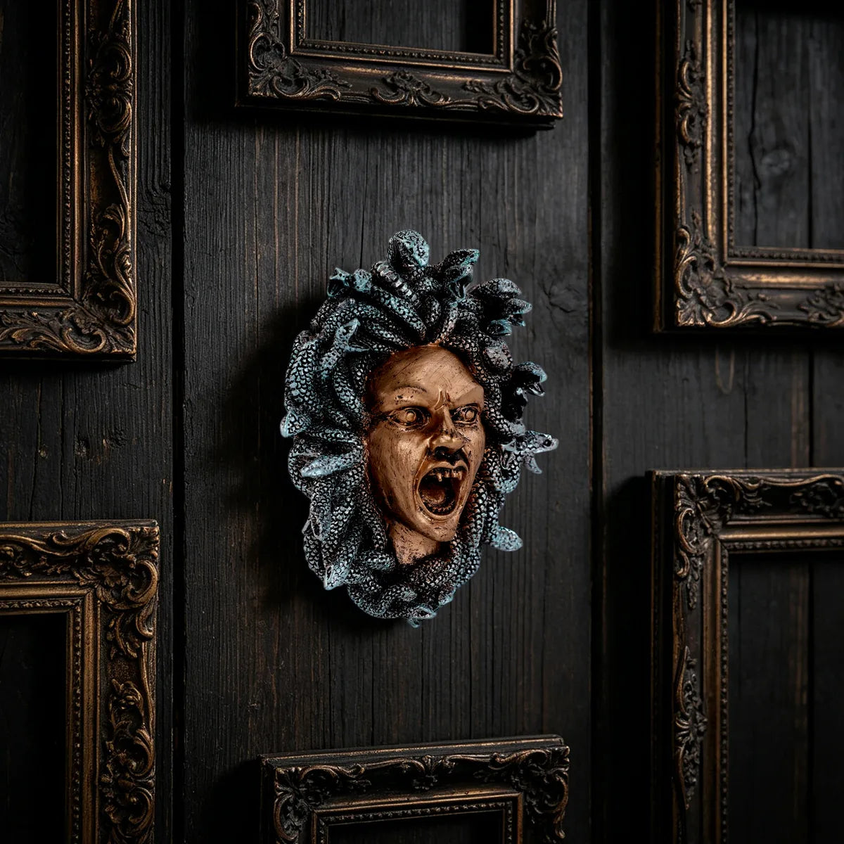 Medusa wall ornament displayed among dark empty picture frames in a gothic gallery setting.