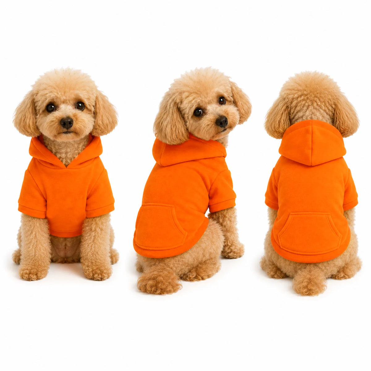 Back view of a dog wearing the orange hoodie showing the kangaroo pocket.
