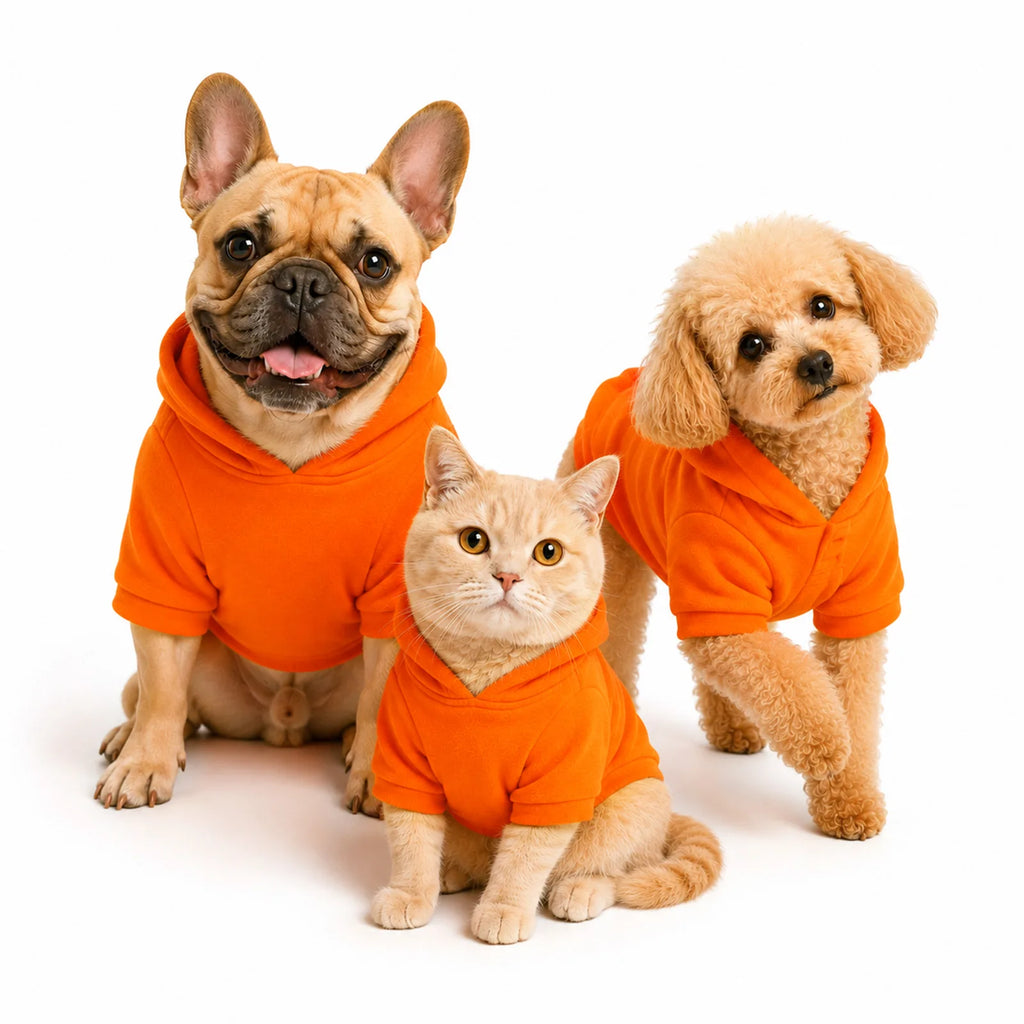 Front view of a dog wearing the orange hoodie with hood up.