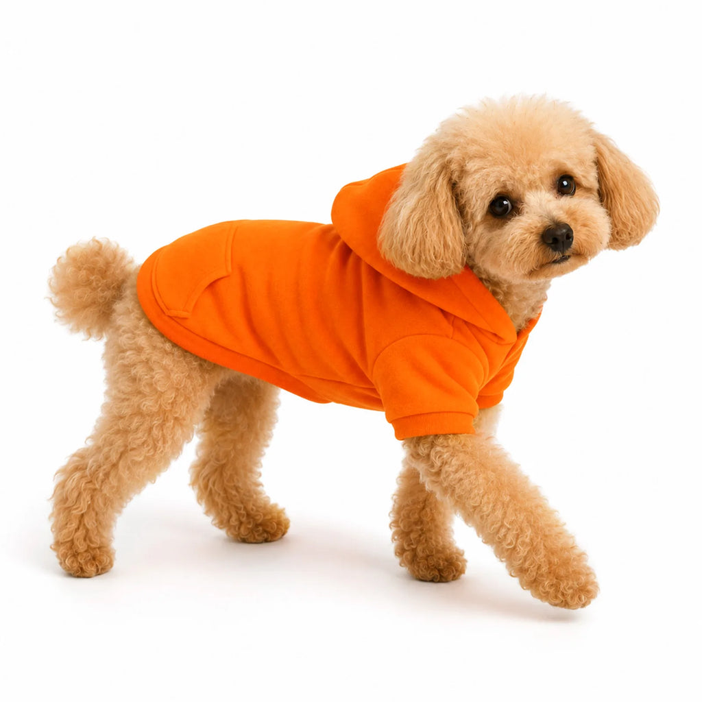 Side view of a small dog wearing the orange fleece hoodie while walking.