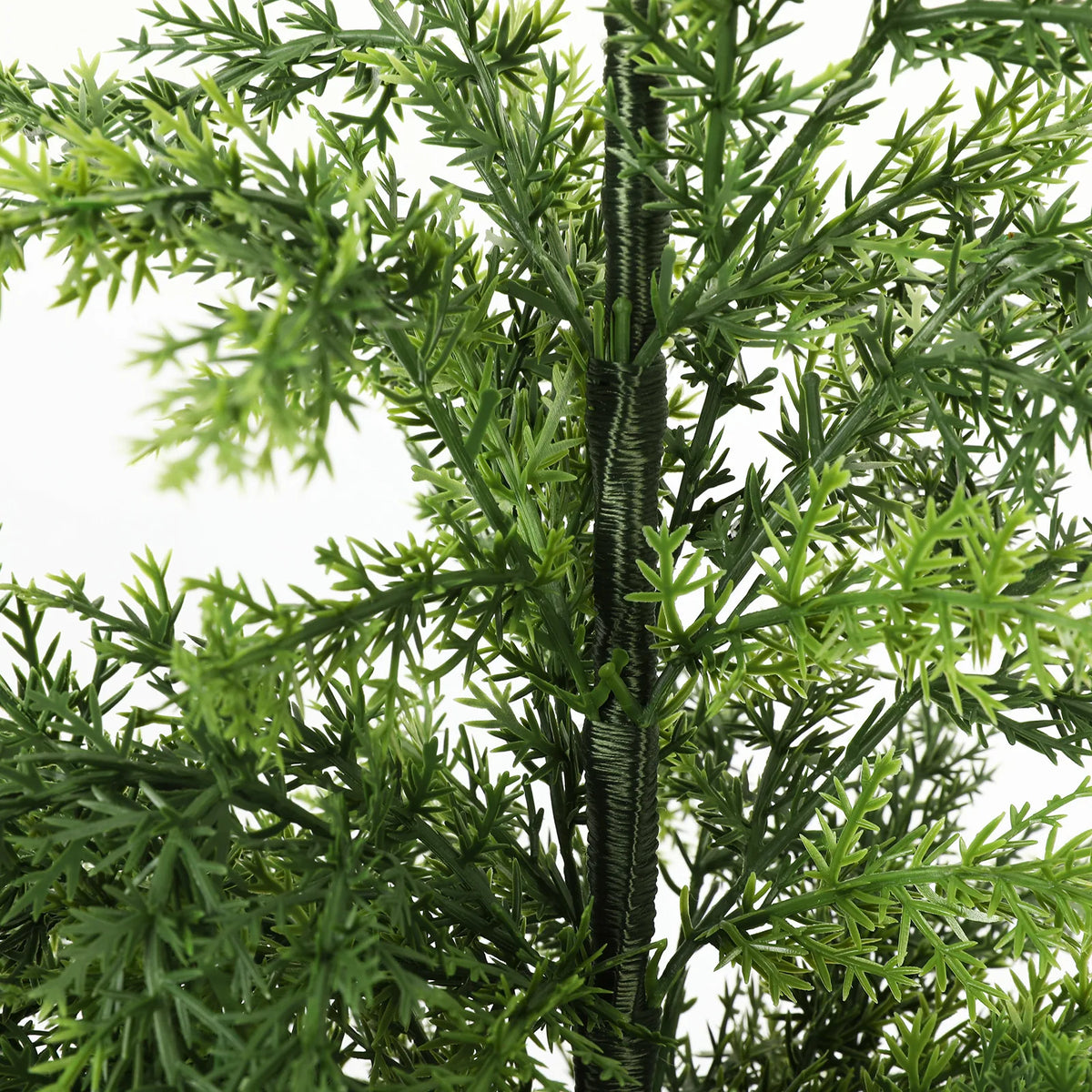 A close view shows the wrapped central trunk and green branches of the tree.