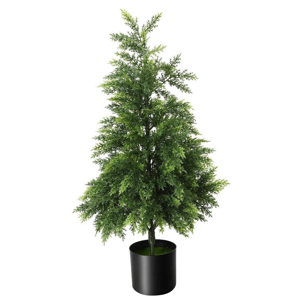 A different side of the 90 cm potted tree shows its branching silhouette.