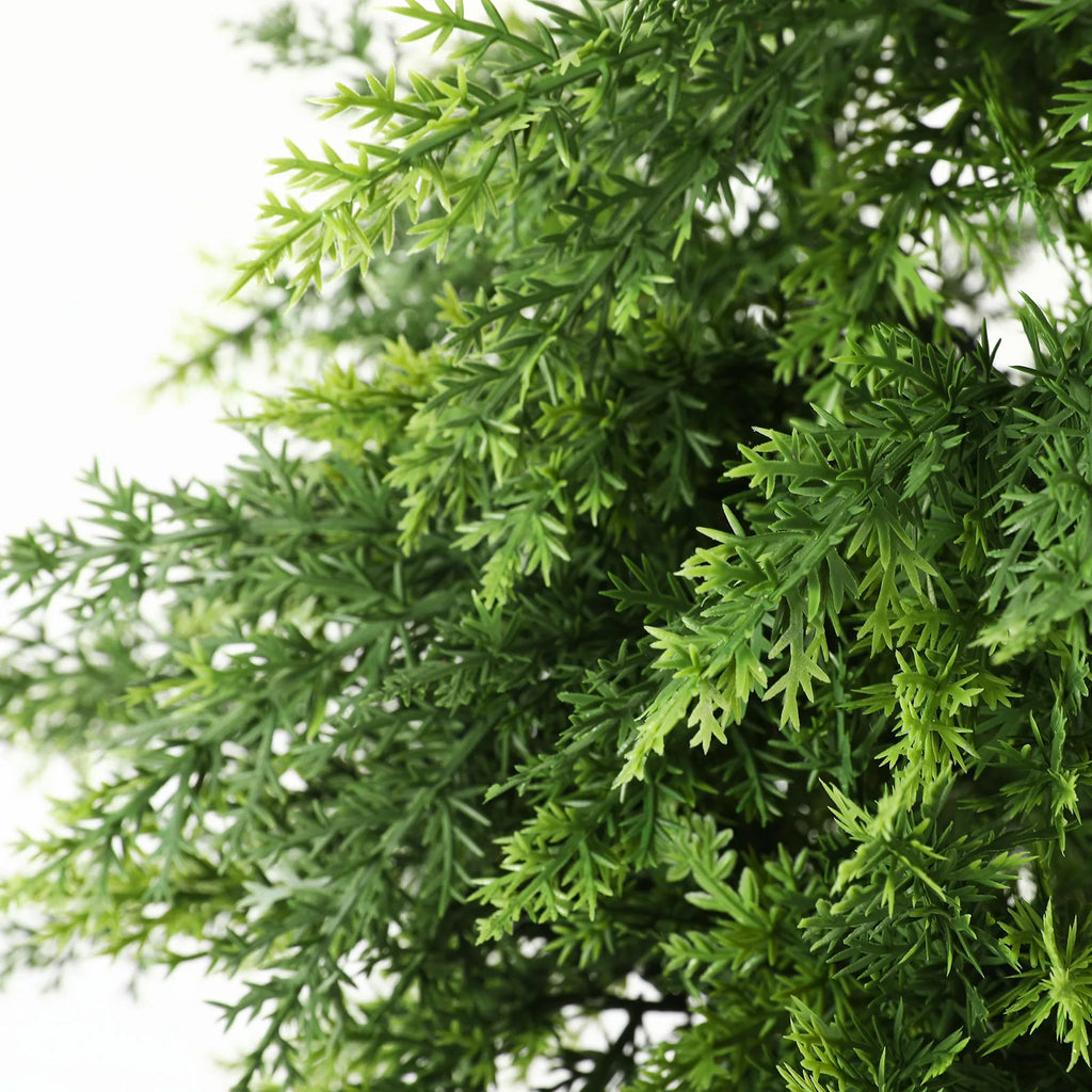 A close view shows the green foliage and fine branch shapes of the tree.