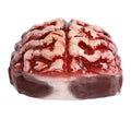Front view of the zombie exposed brain hat, showing its overall shape and visible design.